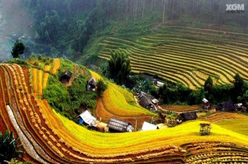 Sapa Medium Trekking 04 Nights 03 Days (By train)