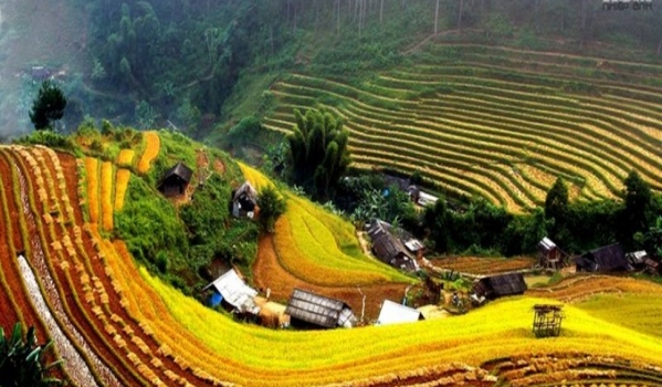 Sapa Medium Trekking 04 Nights 03 Days (By train)